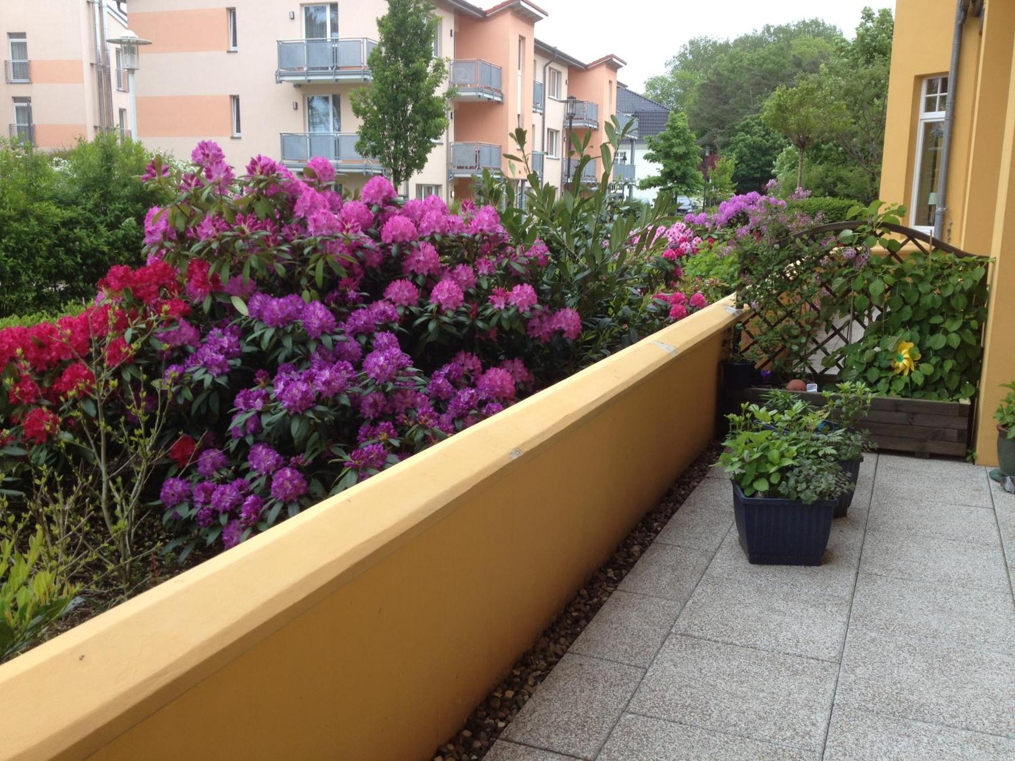 דירות Sonnenresidenz Ostseebad Kühlungsborn מראה חיצוני תמונה